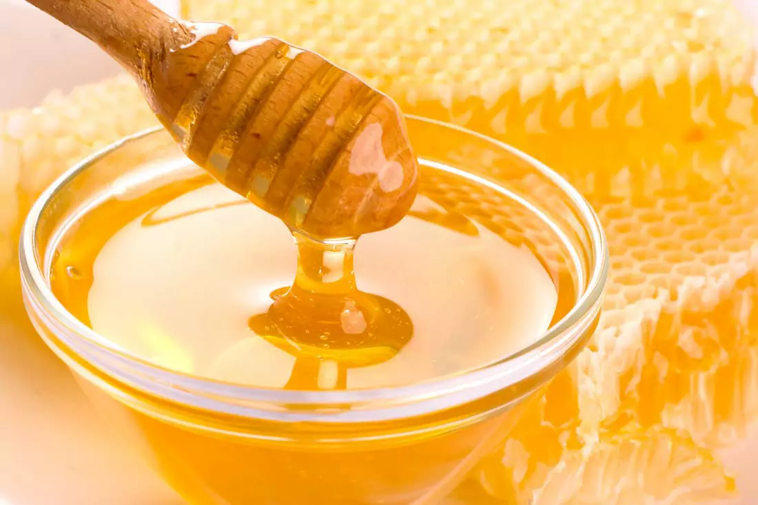 Os cães podem comer mel? Quais são os benefícios do mel para os cães?