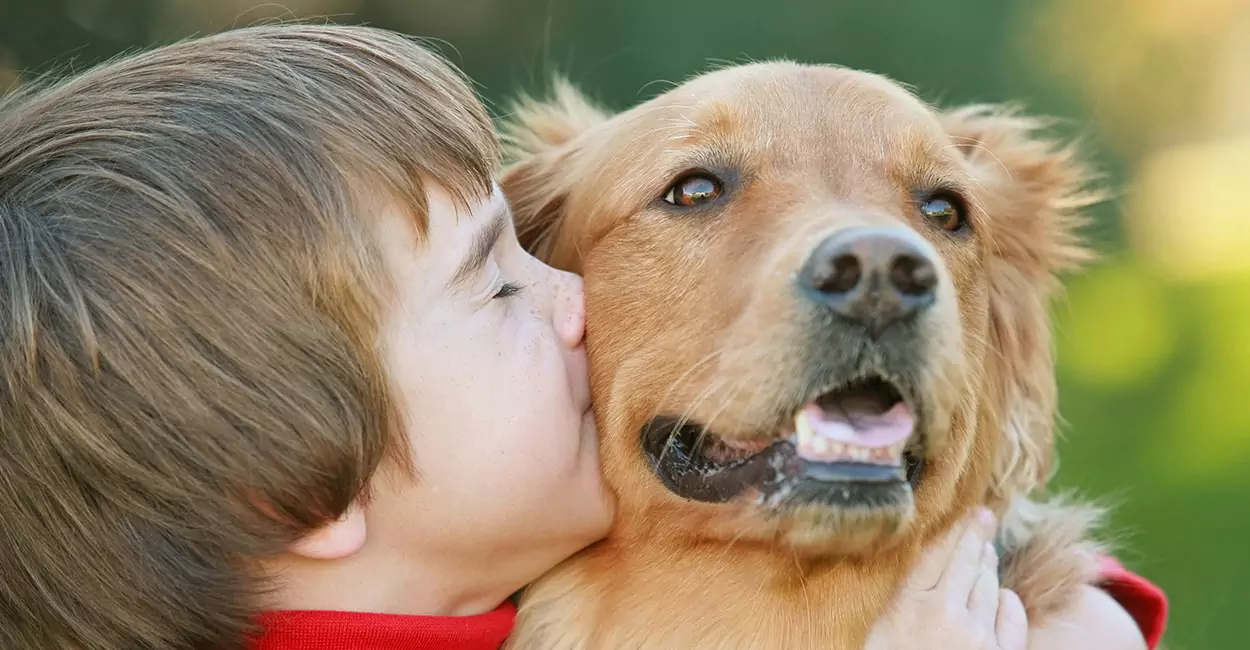Os cães sabem como beijar? Os cães entendem o significado de beijar?